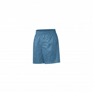 Louis Vuitton LVSE Signature Swim Board Shorts